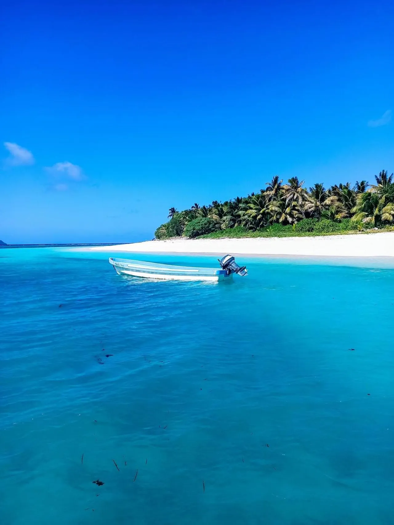 Boat in the turquoise lagoon