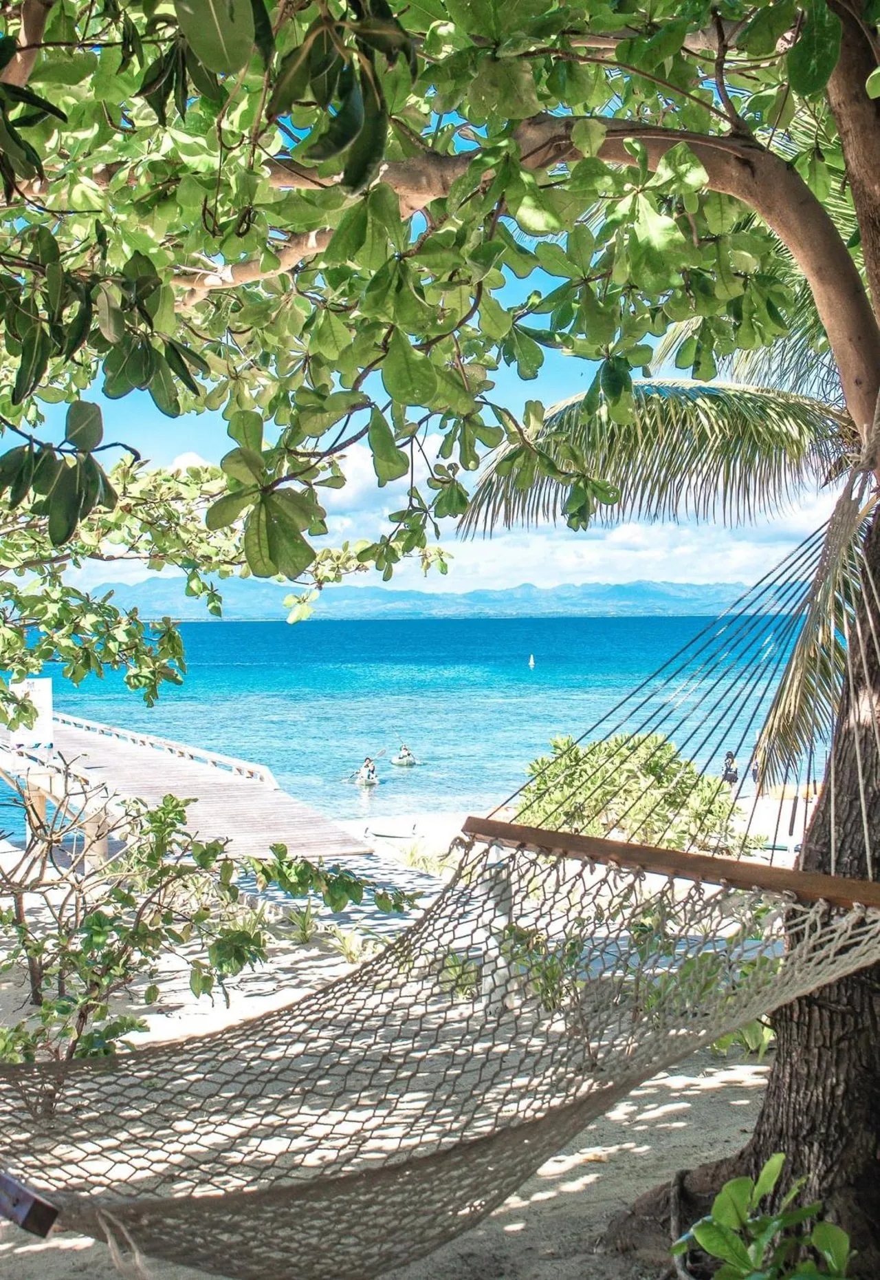 Hammock on the beach under palm trees