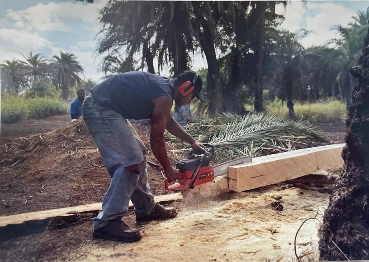 Local timber production in Fiji