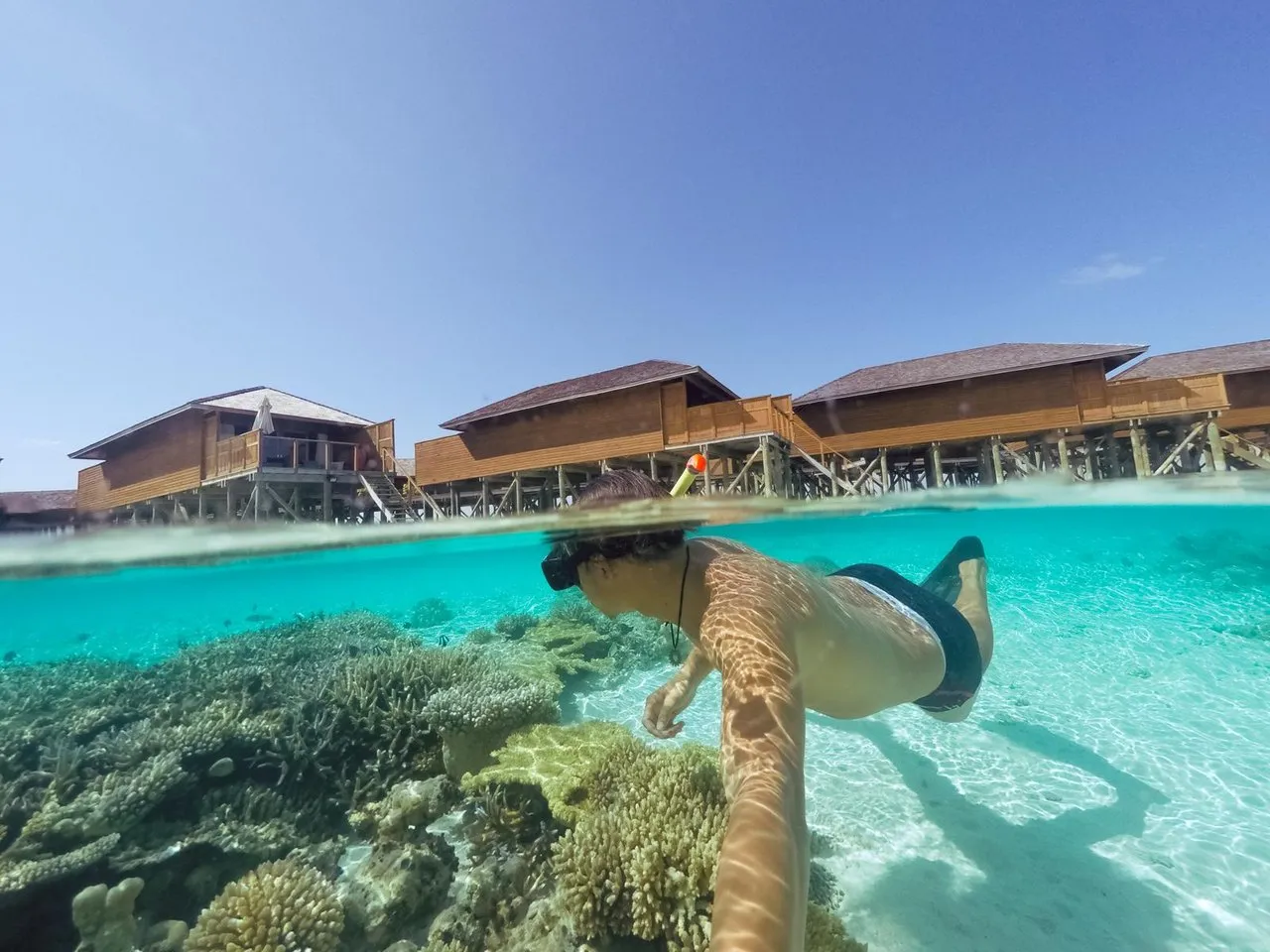 Snorkelling in the coral reef in front of the resort