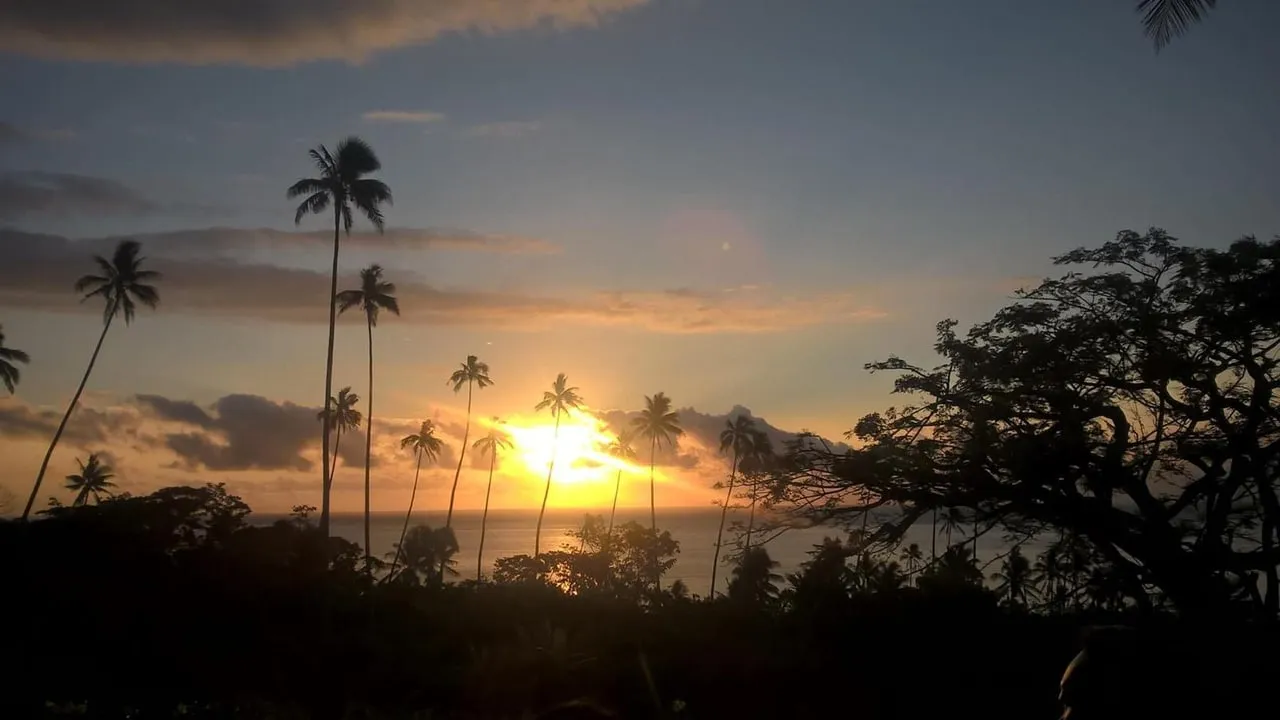 Sunset behind palm trees